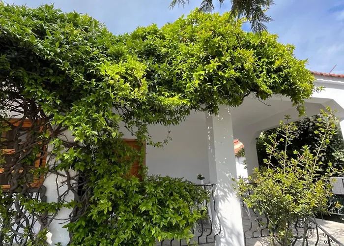 Сasa de vacaciones Martha's Vrasná