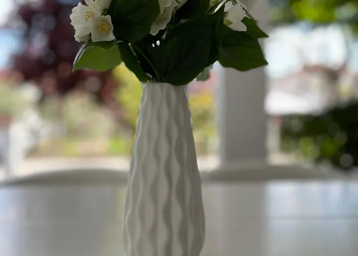 度假居 Martha's *